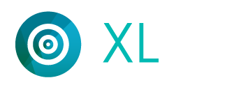 Paingone XL Logo